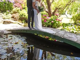 Boda 